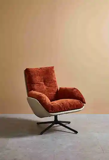 modern leisure chair